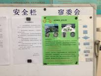 clip_image014.jpg 1BCF92F75908DF173D443FDA5A02916F